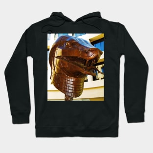 Year of the Snake Hoodie